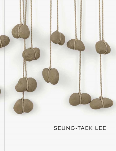 Seung-taek Lee, Hardback Book