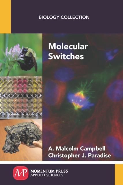 Molecular Switches, Paperback / softback Book