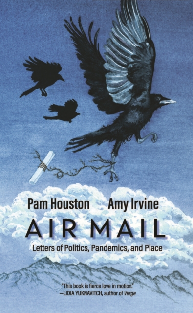 Air Mail : Letters of Politics, Pandemics, and Place, EPUB eBook