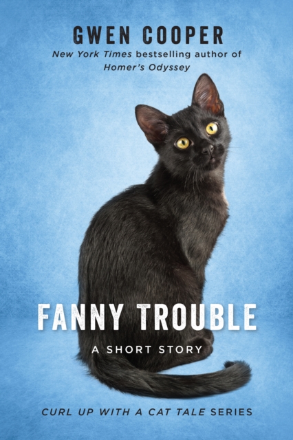 Fanny Trouble, EPUB eBook