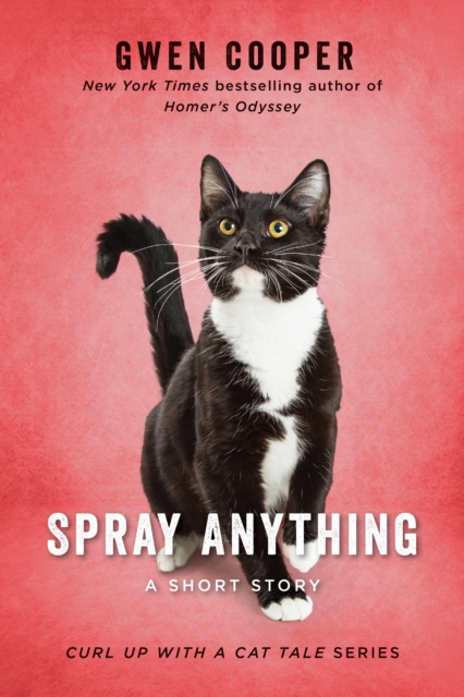 Spray Anything, EPUB eBook