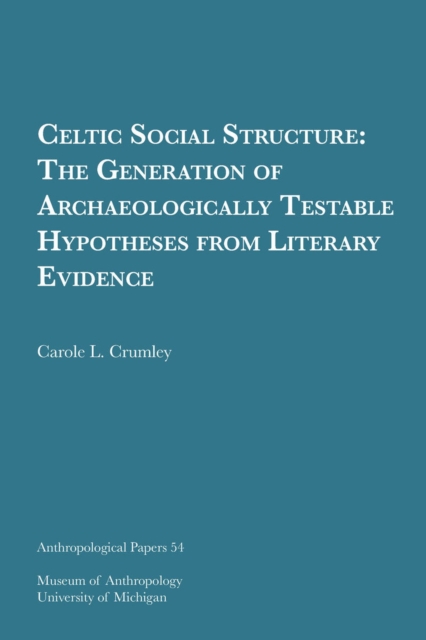Celtic Social Structure Volume 54 : The Generation of Archaeologically Testable Hypotheses from Literary Evidence, Paperback / softback Book