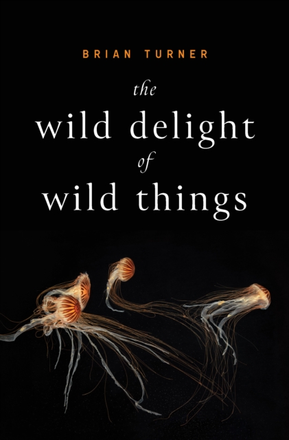 The Wild Delight of Wild Things, EPUB eBook