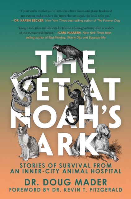 The Vet at Noah's Ark : Stories of Survival from an Inner-City Animal Hospital, Paperback / softback Book