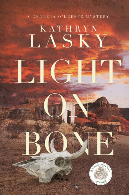 Light on Bone, Paperback / softback Book