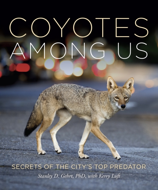 Coyotes Among Us : Secrets of the City's Top Predator, EPUB eBook
