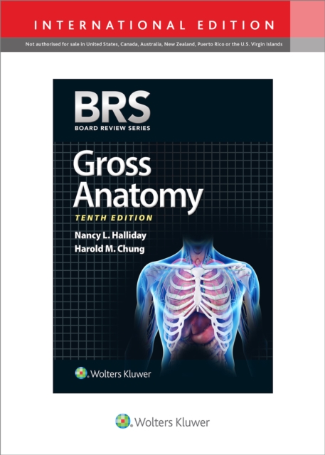 BRS Gross Anatomy, Paperback / softback Book
