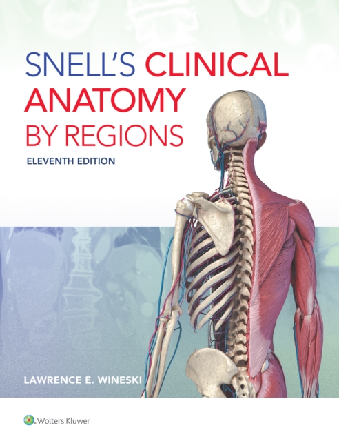 Snell's Clinical Anatomy by Regions, Paperback / softback Book