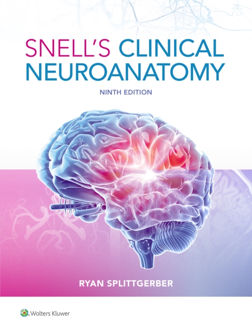 Snell's Clinical Neuroanatomy, Paperback / softback Book