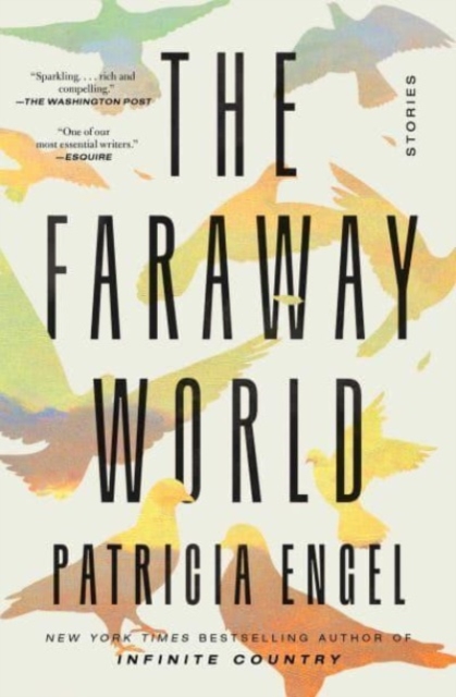 The Faraway World : Stories, Paperback / softback Book