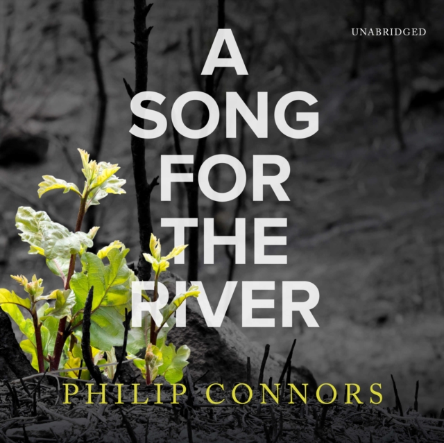 A Song for the River, eAudiobook MP3 eaudioBook
