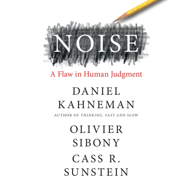 Noise, eAudiobook MP3 eaudioBook