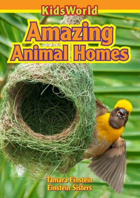 Amazing Animal Homes, Paperback / softback Book Amazing Animal Homes, Paperback / softback Book