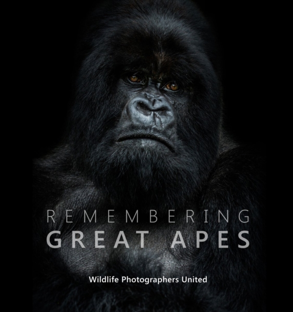 Remembering Great Apes, Hardback Book