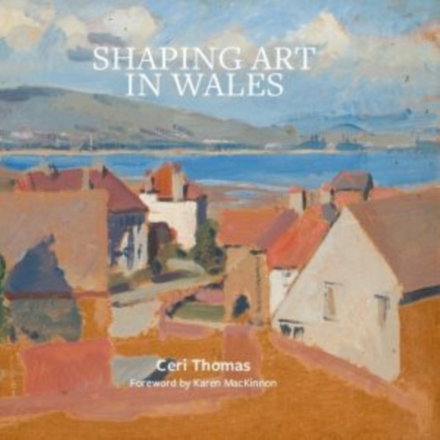 Shaping Art in Wales, Hardback Book