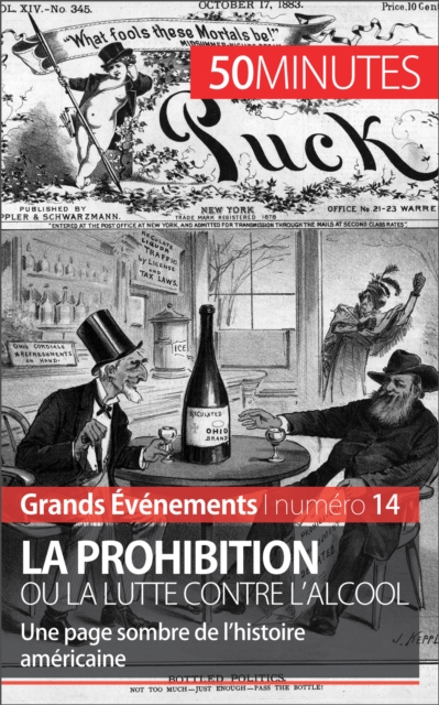 La Prohibition ou la lutte contre l'alcool : Une page sombre de l'histoire americaine, EPUB eBook