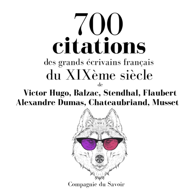 700 citations des grands ecrivains francais du XIXeme siecle, eAudiobook MP3 eaudioBook