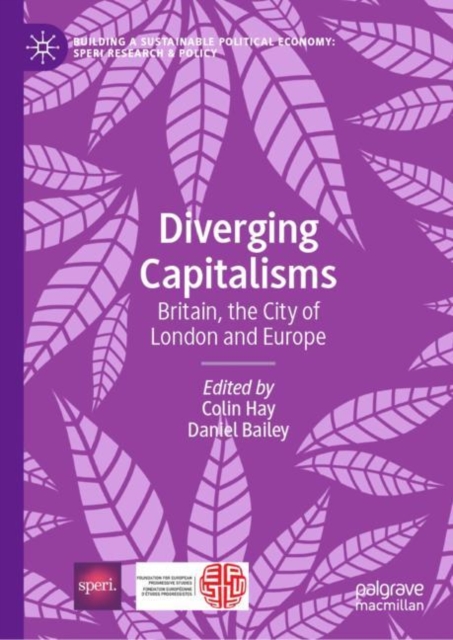 Diverging Capitalisms : Britain, the City of London and Europe, EPUB eBook