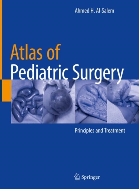 Atlas of Pediatric Surgery : Principles and Treatment, Hardback Book