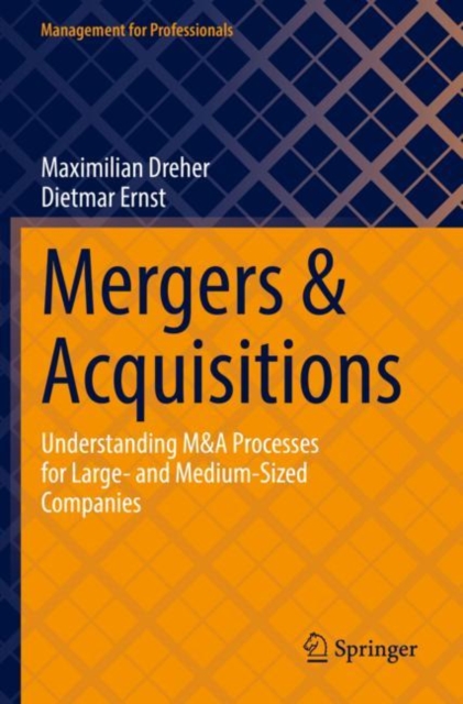 Mergers & Acquisitions : Understanding M&A Processes for Large- and Medium-Sized Companies, Paperback / softback Book