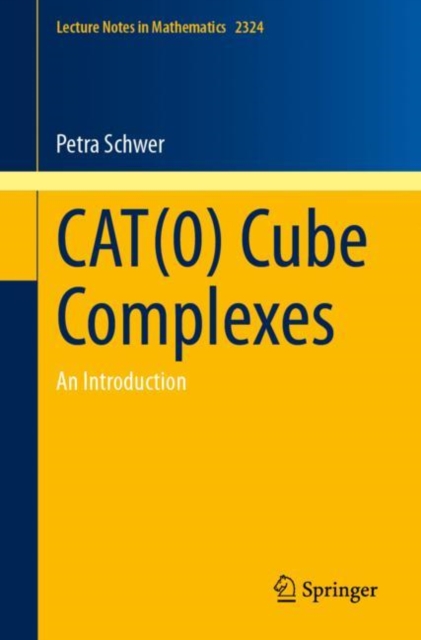 CAT(0) Cube Complexes : An Introduction, Paperback / softback Book