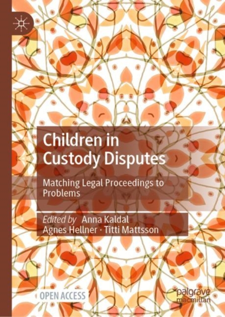 Children in Custody Disputes : Matching Legal Proceedings to Problems, Hardback Book