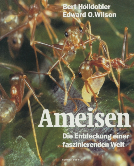 Ameisen : Die Entdeckung einer faszinierenden Welt, PDF eBook