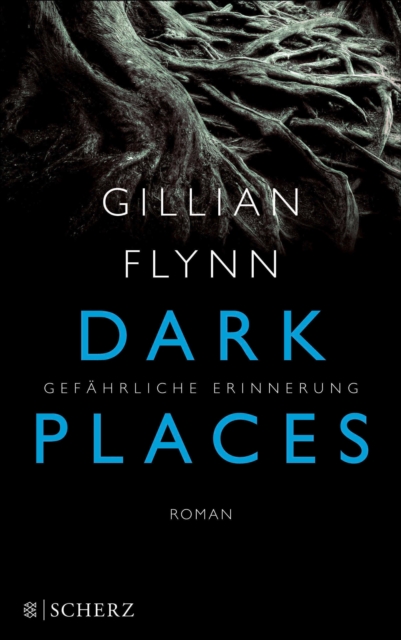 Dark Places - Gefahrliche Erinnerung : Thriller, EPUB eBook