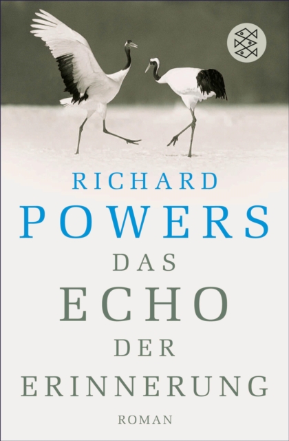 Das Echo der Erinnerung : Roman, EPUB eBook