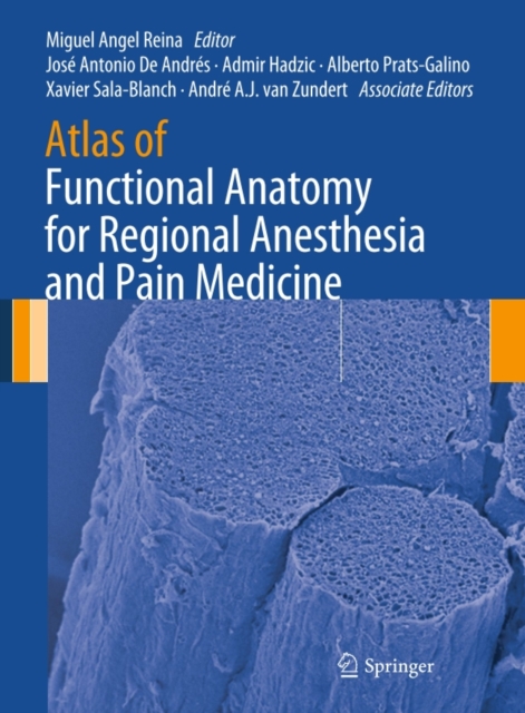 Atlas of Functional Anatomy for Regional Anesthesia and Pain Medicine : Human Structure, Ultrastructure and 3D Reconstruction Images, PDF eBook