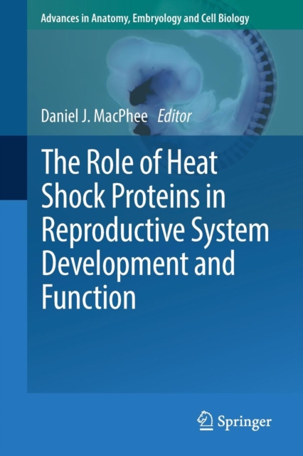 The Role of Heat Shock Proteins in Reproductive System Development and Function, Paperback / softback Book