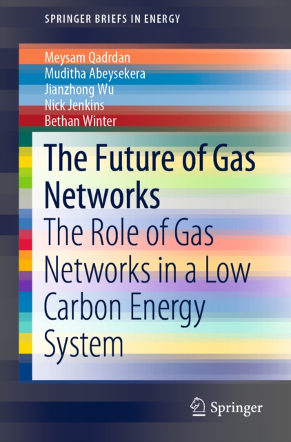 The Future of Gas Networks : The Role of Gas Networks in a Low Carbon Energy System, EPUB eBook