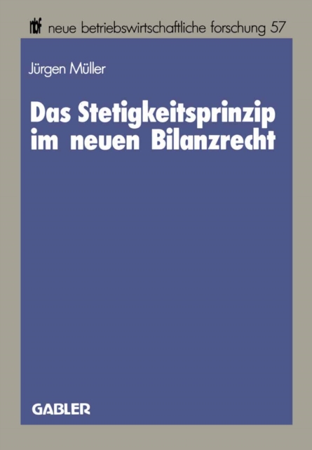 Das Stetigkeitsprinzip im neuen Bilanzrecht, PDF eBook