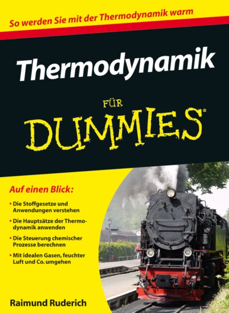 Thermodynamik Fur Dummies, Paperback Book