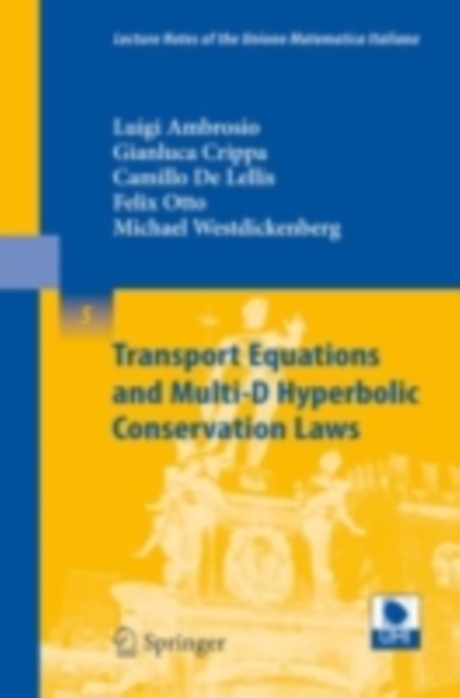 Transport Equations and Multi-D Hyperbolic Conservation Laws, PDF eBook