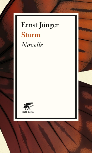 Sturm : Novelle, EPUB eBook