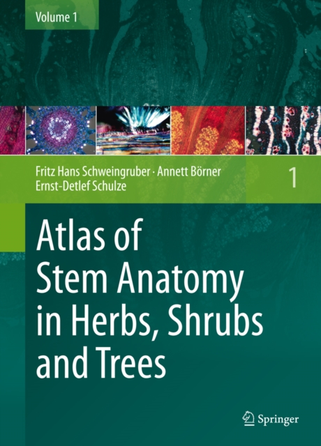 Atlas of Stem Anatomy in Herbs, Shrubs and Trees : Volume 1, PDF eBook