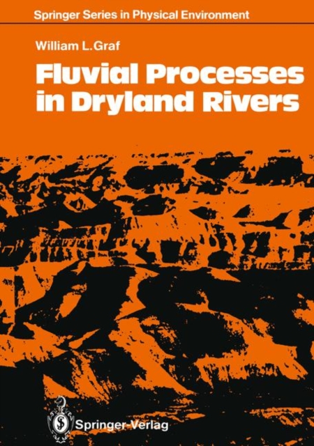 Fluvial Processes in Dryland Rivers, Paperback Book