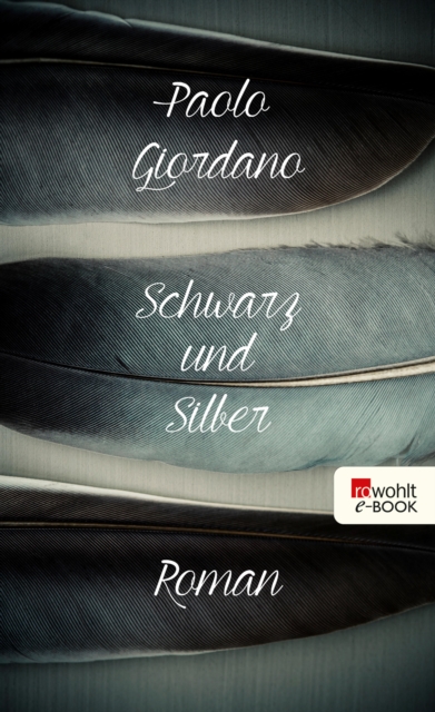 Schwarz und Silber, EPUB eBook