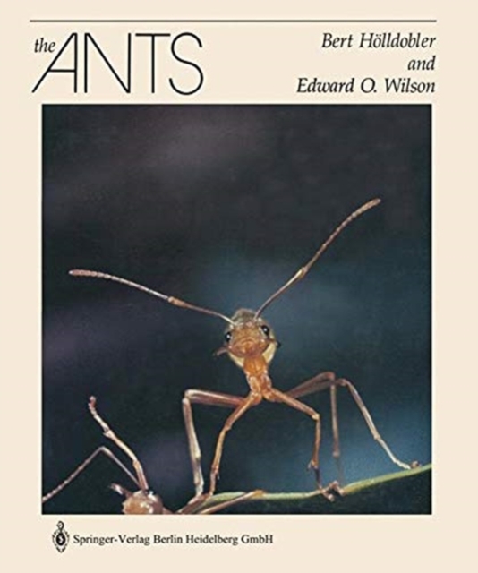 The Ants, Paperback / softback Book