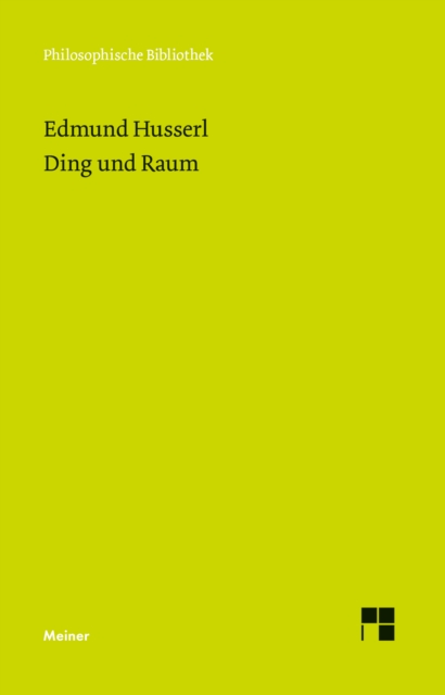 Ding und Raum : Vorlesungen 1907, PDF eBook