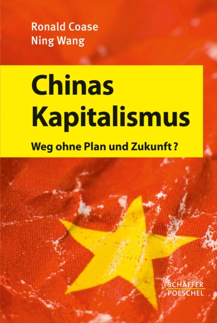 Chinas Kapitalismus : Weg ohne Plan und Zukunft?, EPUB eBook