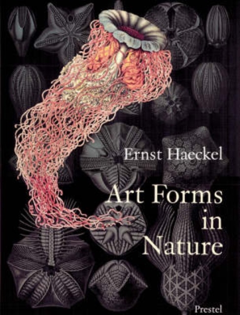 Art Forms in Nature : The Prints of Ernst Haeckel, Paperback / softback Book