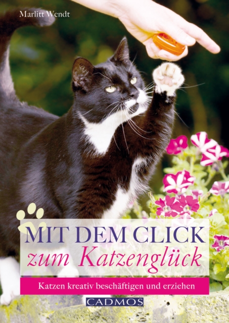 Mit dem Click zum Katzengluck : Katzen kreativ beschaftigen und erziehen, EPUB eBook