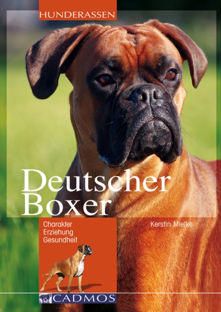 Deutscher Boxer : Charakter, Erziehung, Gesundheit, EPUB eBook