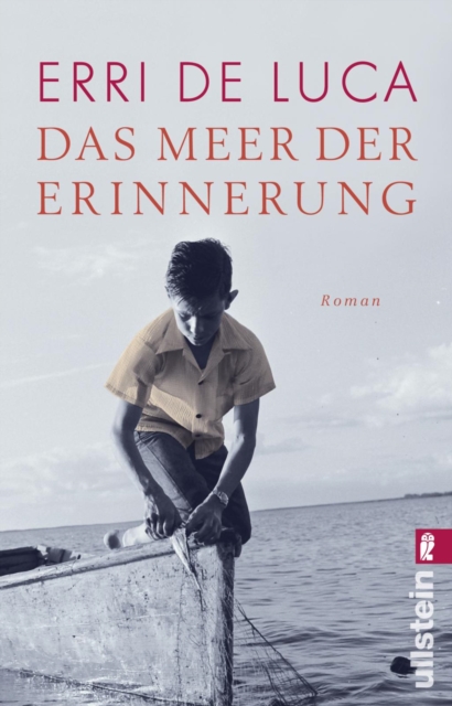Das Meer der Erinnerung : Roman, EPUB eBook