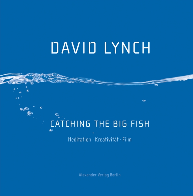 Catching the Big Fish : Meditation Kreativitat Film, EPUB eBook