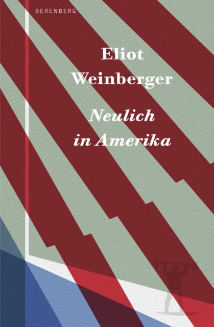 Neulich  in Amerika, EPUB eBook