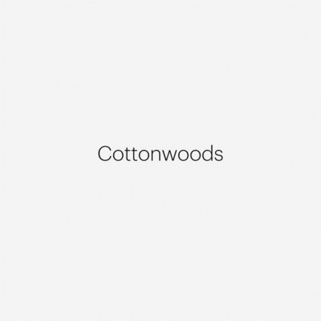 Robert Adams: Cottonwoods, Hardback Book