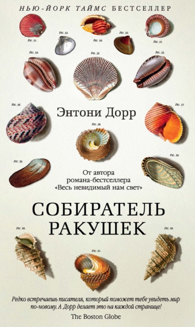 The shell collector, EPUB eBook